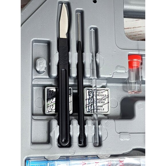 Explore the Microscopic World with the National Geographic Microscope Kit - Picture 8 of 12